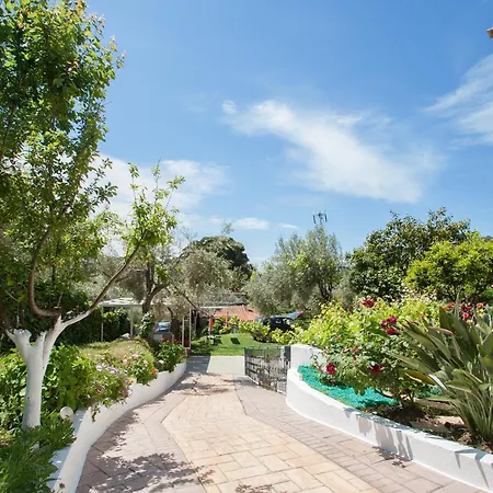 Syrainas * טרולוס