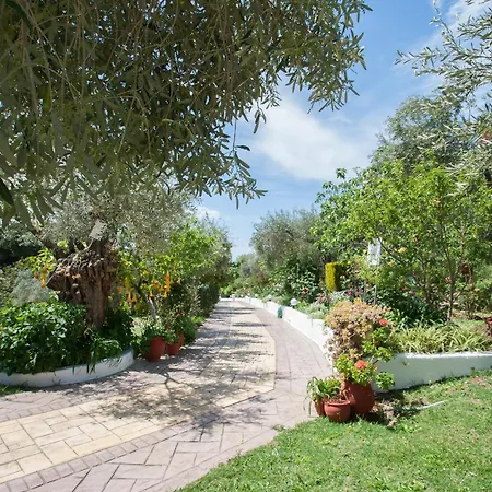 Syrainas * טרולוס