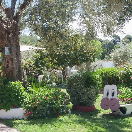 Syrainas טרולוס